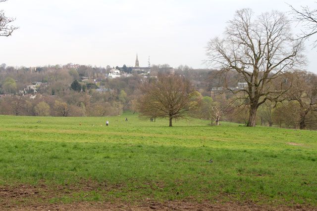 Hampstead Heath