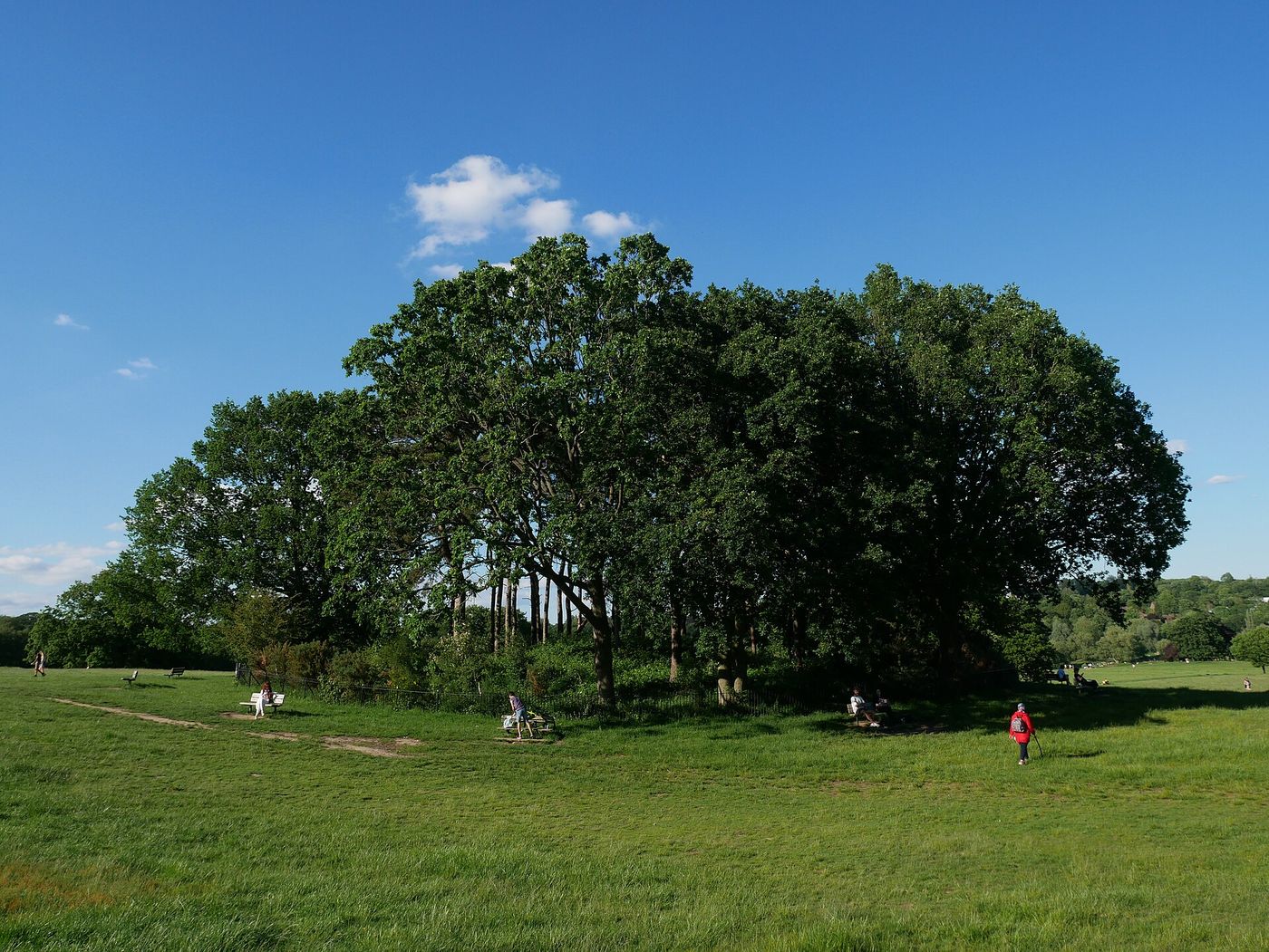 The Tumulus, south of the Highgate Ponds