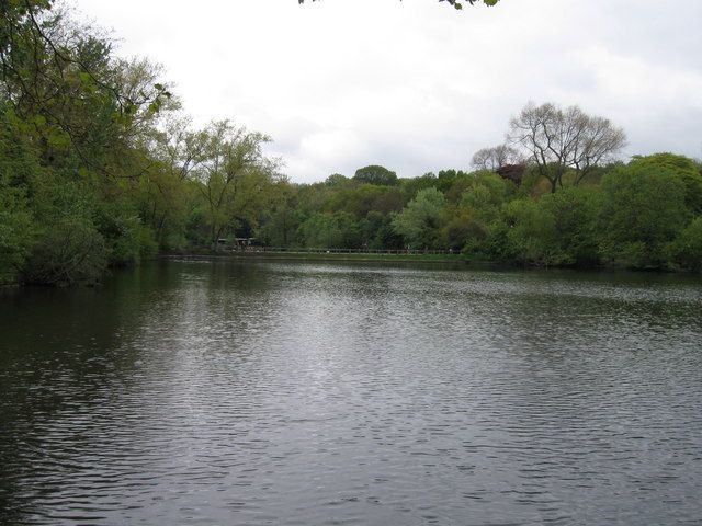 The Hampstead Ponds and the River Fleet, the Hampstead chain