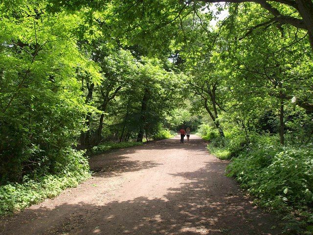 Hampstead Heath